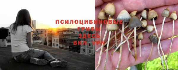 каннабис Нефтекумск