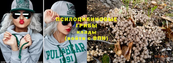 каннабис Нефтекумск