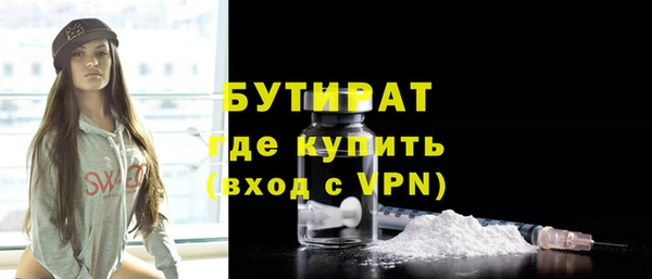 индика Надым